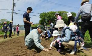 マイファーム市川農園の現地写真